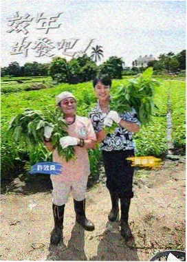 甜味审判幕后纪实海报